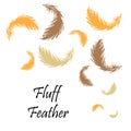 Feather down bird drawing Feather Hand drawn Sketch Isolated on white